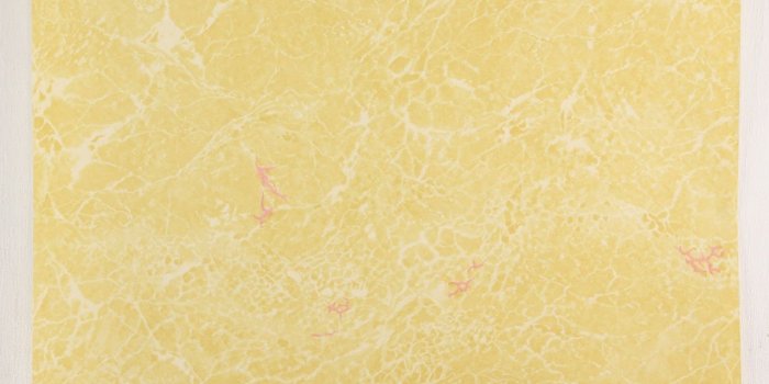 1280x853 1930s Vintage Wallpaper Faux Marble Yellow