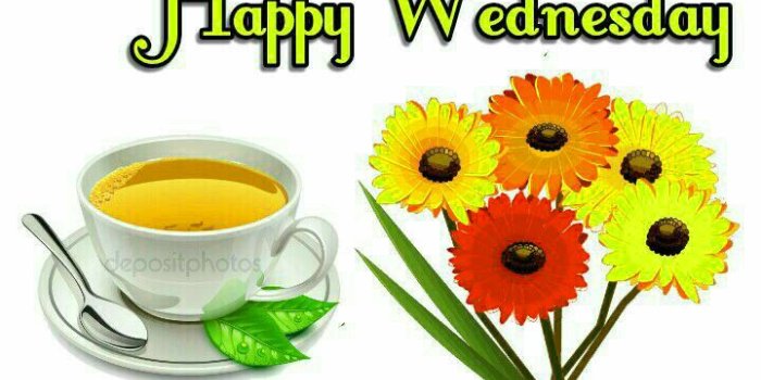 720x1094 211+ Good Morning Wednesday Images Greetings Picture For Whatsapp