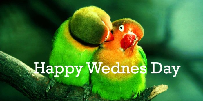 1920x1080 341+ Wednesday Good Morning Wishes Images Photo Pics Wallpaper HD