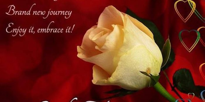 1000x840 Lovely Good Morning Wallpaper Download - Thought Love Good Morning