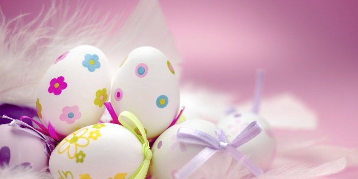 1920x1200 cute wallpapers 2014 Gallery (66+ images)