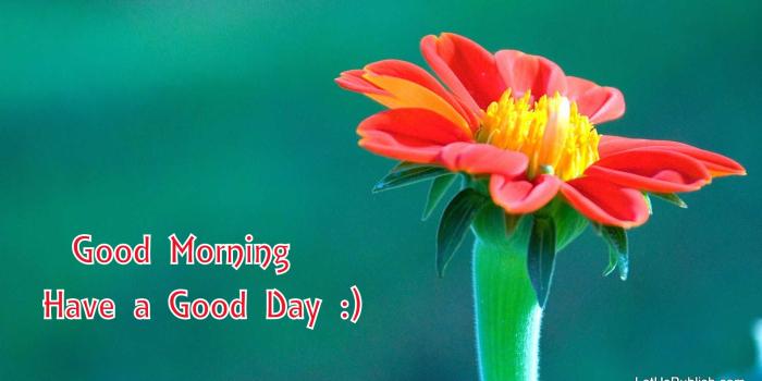 1920x1080 Good Morning Wallpapers Free Download