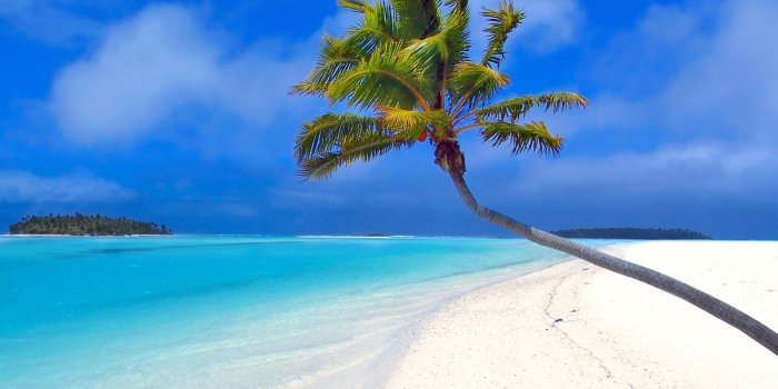 1920x1200 Guam Beaches Desktop Wallpaper 1920x1200, - Palm Tree Beach