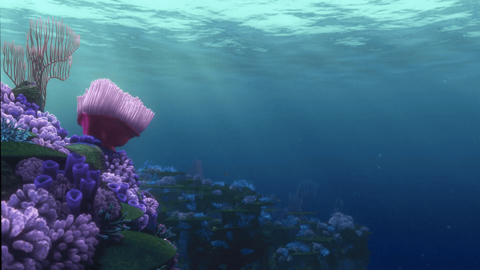 1920x1080 Finding Nemo Wallpaper 6 - 1920 X 1080