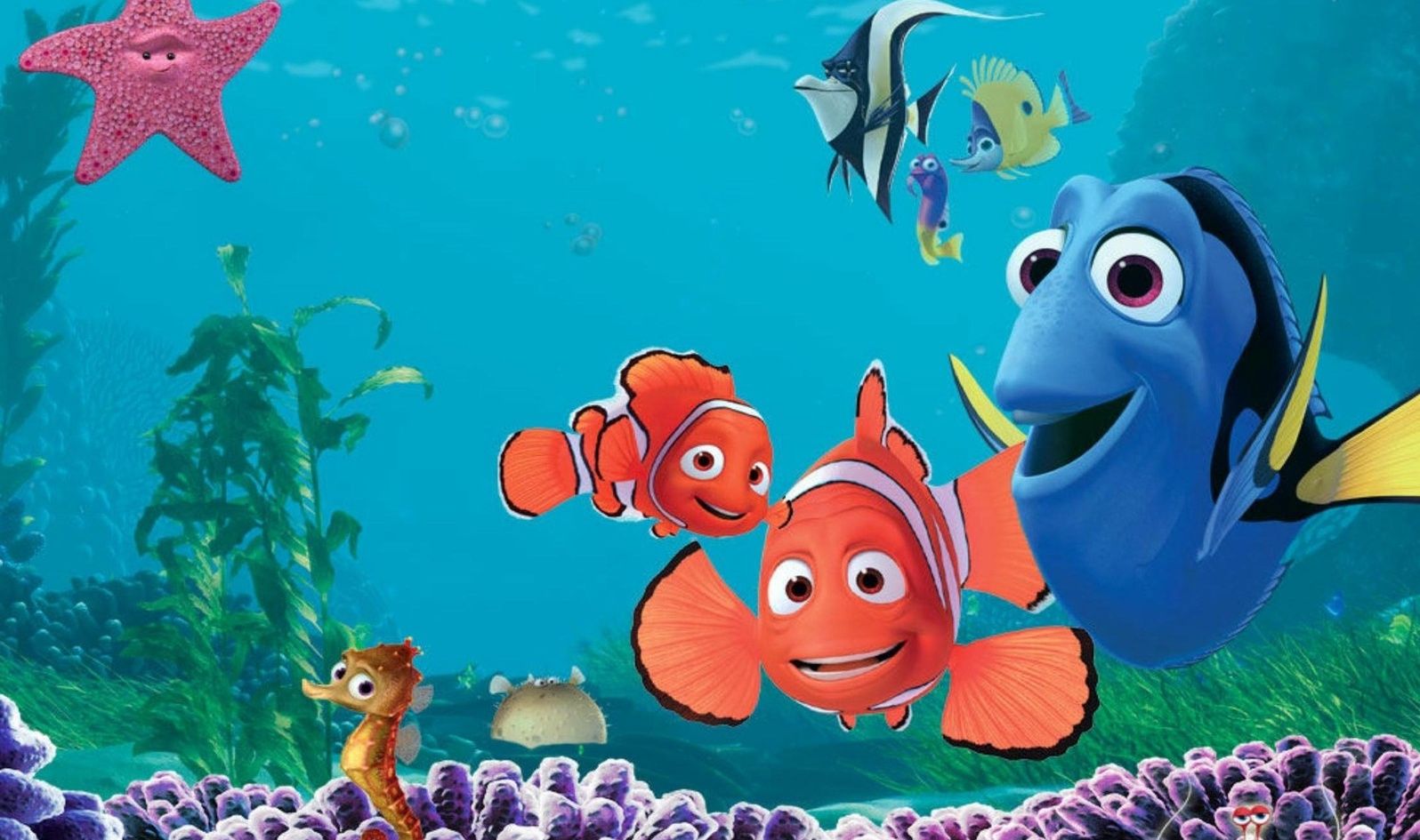 1596x945 Nemo Wallpaper Hd (61+), Find HD Wallpapers For Free