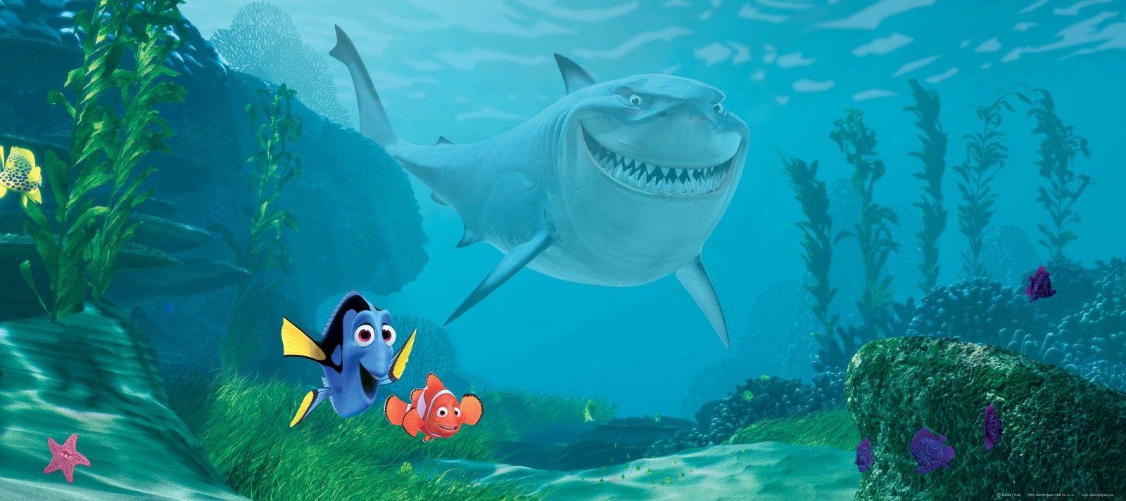 1600x713 Bruce from Finding Nemo wallpaper Cartoon wallpapers
