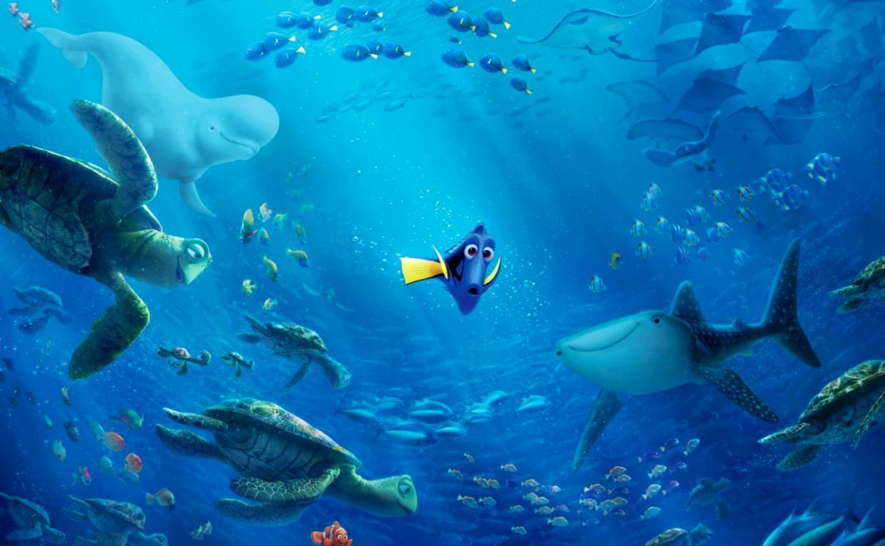 1238x765 Finding Nemo Underwater Fish Sharks Turtles Cartoon Hd Wallpaper