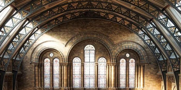 750x1334 History Wallpapers