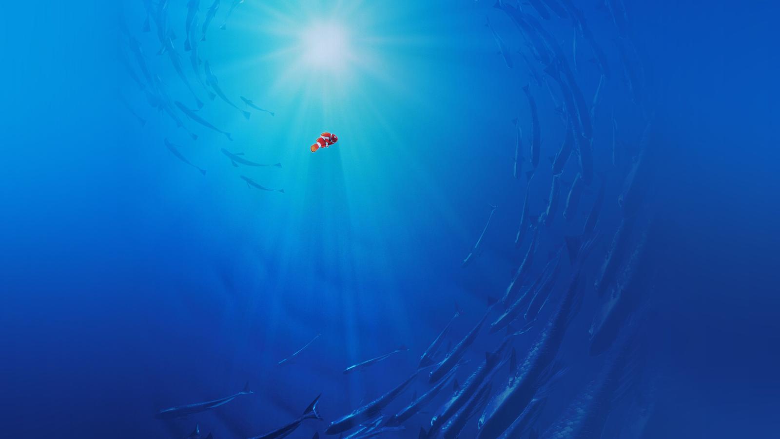 3840x2160 aq58-finding-dory-disney-nemo-cute-wallpaper