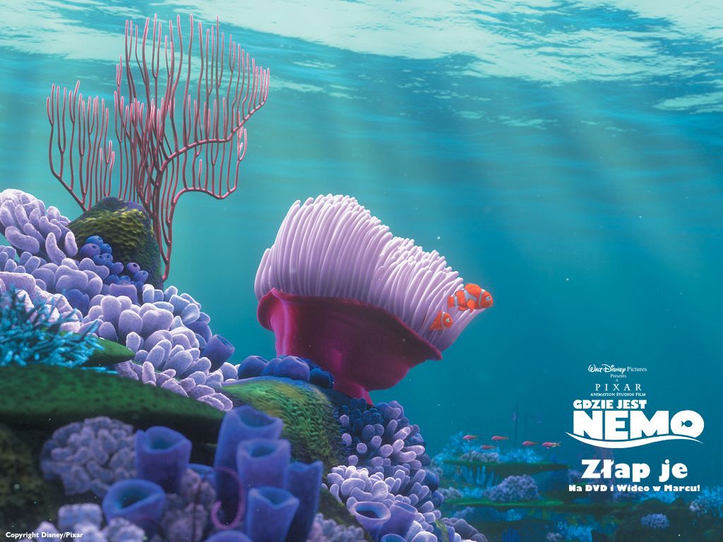 1024x768 Finding Nemo Wallpapers #93DID5V (1024x768) | WallpapersExpert.com