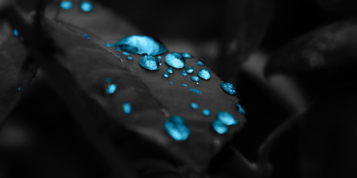 2560x1600 Best HD Wallpapers #6777264