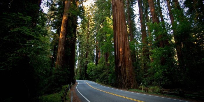 1920x1080 15 Best Nature Wallpapers in 4K and Full HD for Desktop and Mobile