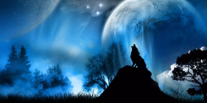 3840x2160 44+] 4K Wolf Wallpaper on WallpaperSafari