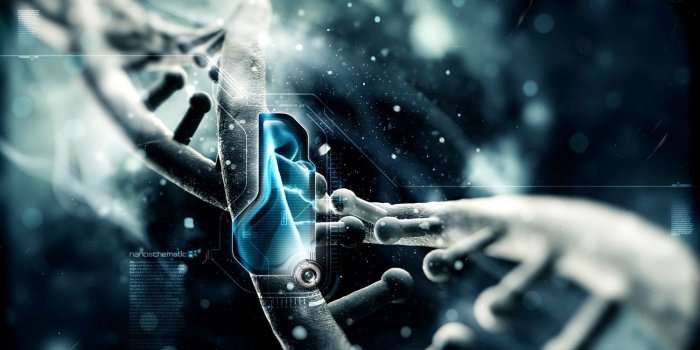 1500x884 Download Top Wallpapers 2016 (45+) - Free Wallpaper For your screen.