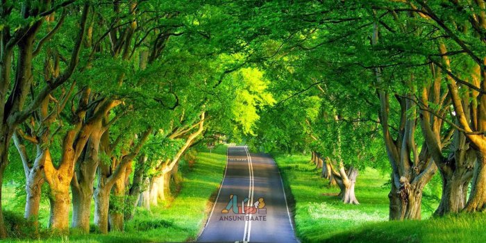 1600x900 Nature Wallpaper Full HD Gallery Images Photo Free Download