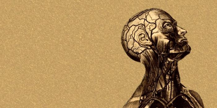 1353x846 Medical Wallpaper Hd - (37+) Group Wallpapers