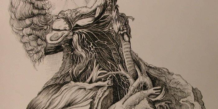 1807x1704 Medicine wallpaper Gallery