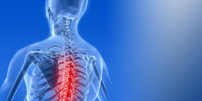 1024x768 45+] HD Medical Wallpaper on WallpaperSafari