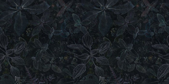 1024x1024 Night Garden | Mullein