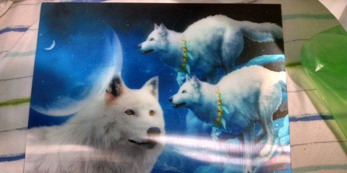 4320x2432 Ice Wolf Wallpaper (37+ images) on Genchi.info