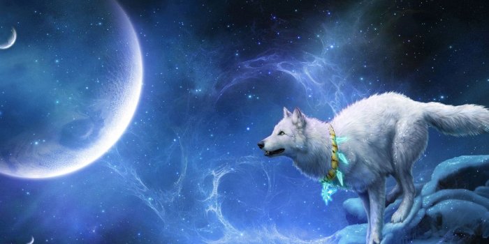 1680x1050 Wolf looking at Big Moon wallpaper - Fantasy wallpapers - #28672