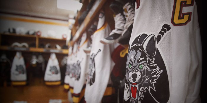 2880x1800 Free Desktop Wallpapers & Downloads - Chicago Wolves