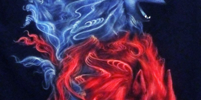 1000x1333 Download Welcome to SEARCHPPCOM [1000x1333] | 50+ Ice Wolf Wallpaper