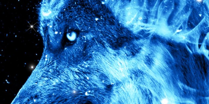 1440x2560 Ice Fire Wolf Wallpaper for Android - APK Download