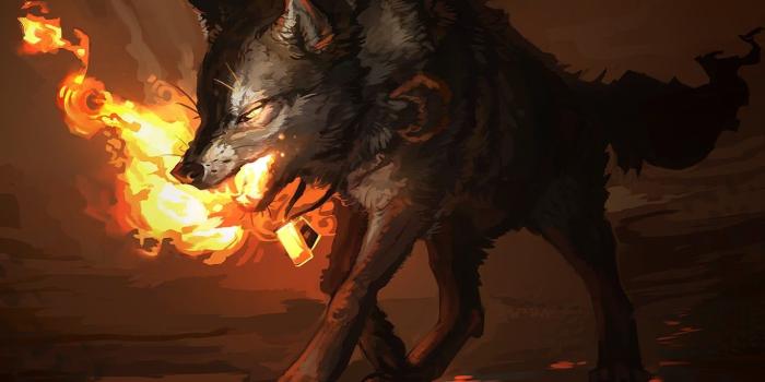 1366x768 Wolf illustration, fire, wolf HD wallpaper | Wallpaper Flare