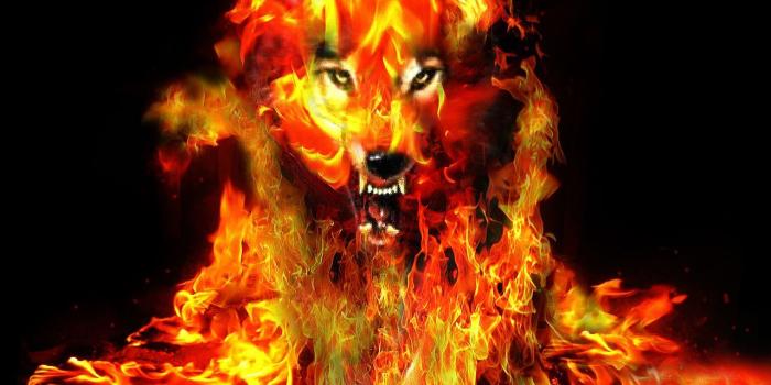 1280x1024 Wallpapers Cute Dogs Nature Devil Wolf Anger Evil Hell 1280x1024