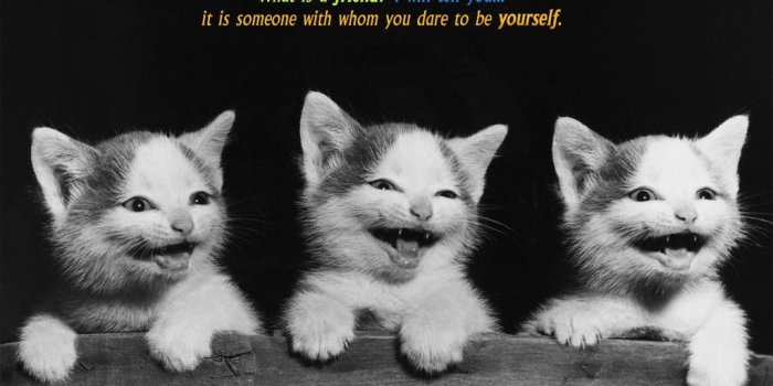 1024x795 Best friendship wallpaper with quote
