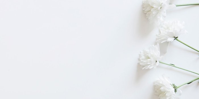 1500x1500 Buy White Flowers Wallpaper Online in India at Best Price – Circle One