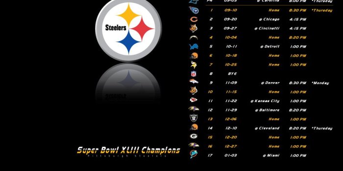 1024x768 All Images Wallpapers: Steelers Wallpaper 2009