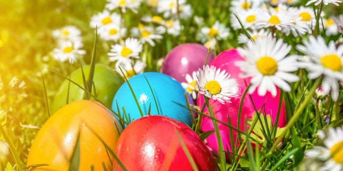 1920x1440 Wallpaper Easter, colorful eggs, flowers, daisies 2560x1600 HD