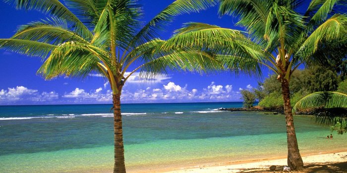 1600x1200 Tropical Oasis #4219099, 1600x1200 | All For Desktop