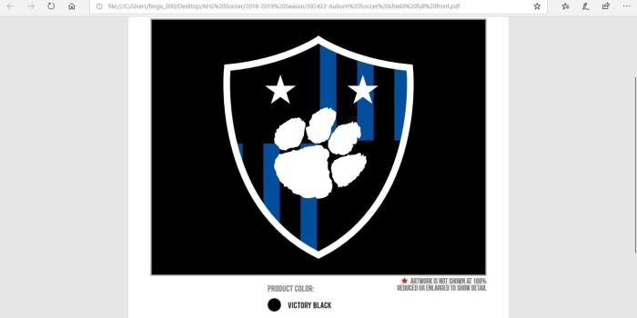 1366x768 Boys' Varsity Soccer - Auburn High School - Auburn, Alabama - Soccer