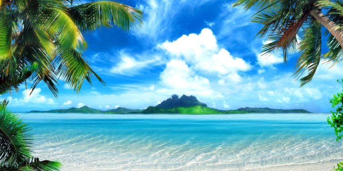 2432x1440 Perfect Tropical Background Pictures . Quality Pictures on Animal