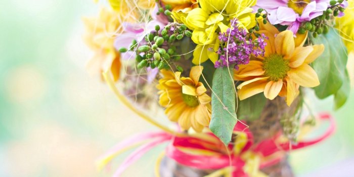 1920x1080 Bouquet Daisy Colorful Petals Beautiful Flower Hd Wallpaper Widescreen