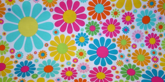 1920x1080 Daisys Tag wallpapers: Bright Daisies Color Daisys Wild Colored