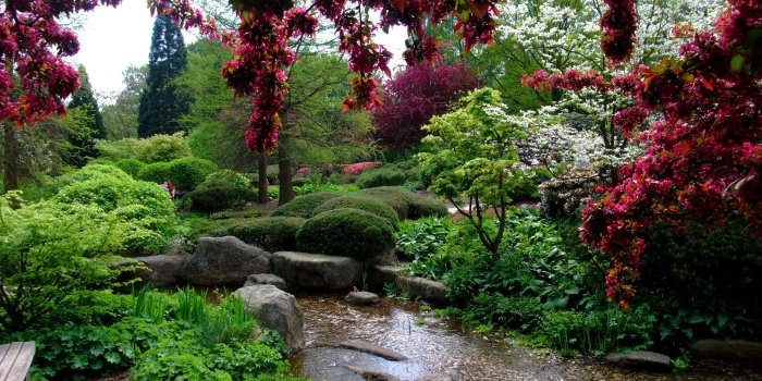 2560x1920 Alter Botanical Gardens HD Wallpaper | Background Image | 2560x1920