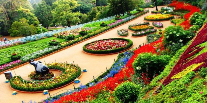 1280x800 Botanical Garden Ooty India wallpapers | Botanical Garden Ooty India