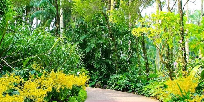 800x1200 Download wallpaper 800x1200 singapore, botanic gardens, walking