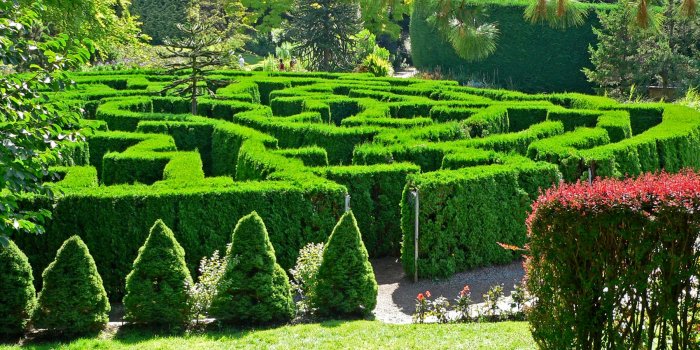 1800x1350 VanDusen Botanical Garden HD Wallpaper, Background Images