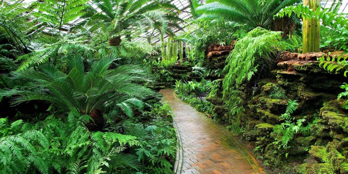 4928x3264 Botanical Wallpapers