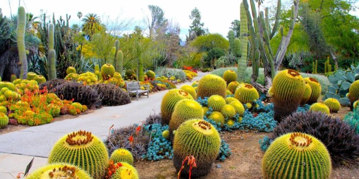 1280x800 Botanical Garden San Marino wallpapers | Botanical Garden San Marino