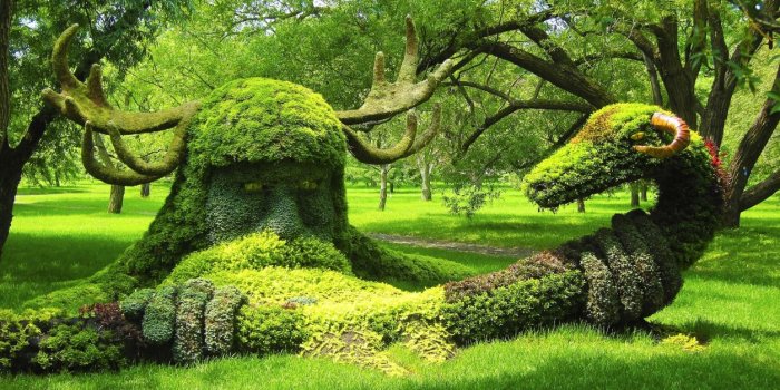1255x700 Montreal Botanical Garden Montreal Canada viging snake composition