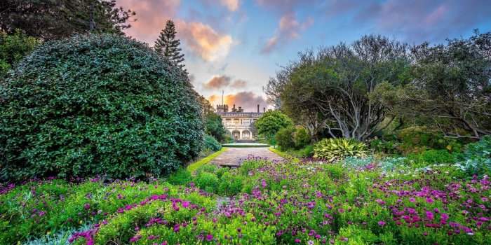 1920x1200 Amazing sunset sky over Royal Botanic Gardens wallpaper - Nature