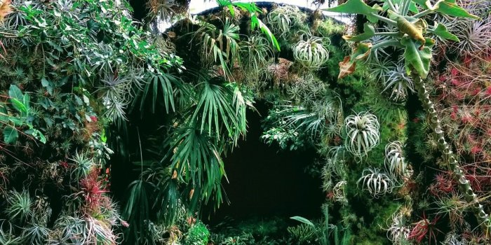 1161x2064 Daniel Stowe Botanical Garden #garden #conservatory #plants