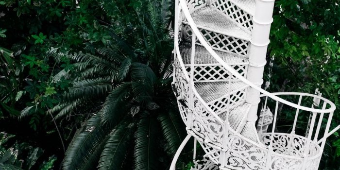 938x1668 Download wallpaper 938x1668 staircase, circular, botanical garden