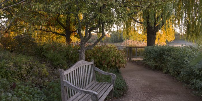 5923x3949 Desktop Wallpaper: Fall | Chicago Botanic Garden